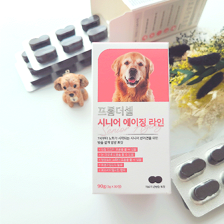  강아지 종합영양제 프롬더셀, 15살 노령견 요크셔테리어 항산화제 추천