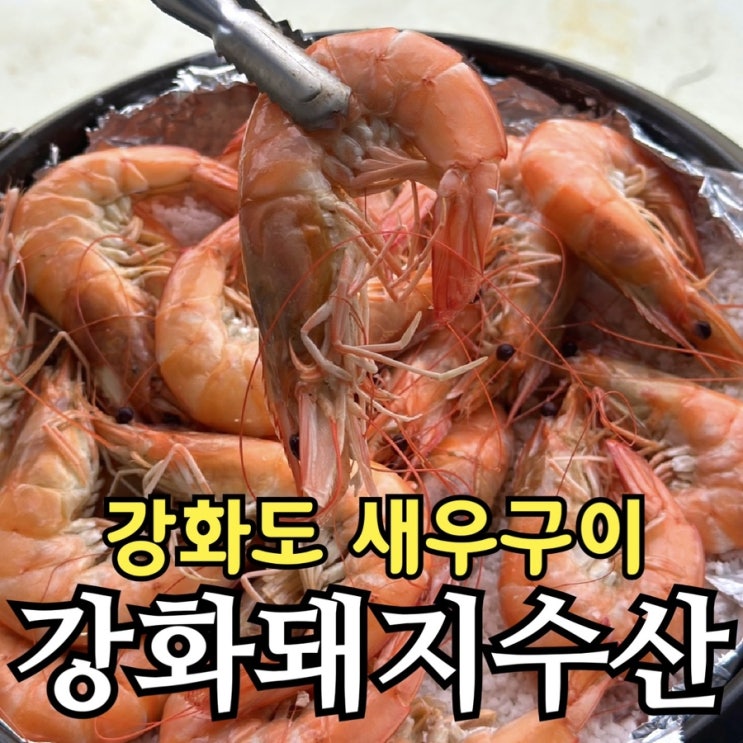  강화돼지수산 강화도 새우구이 후기｜김포 새우 양식장에서 즐기는 왕새우 직판장