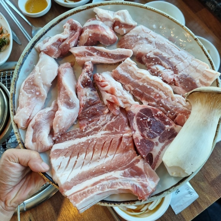  제주도 조천 맛집 신촌올레숯불갈비 5가지 부위 한번에 생구이모듬