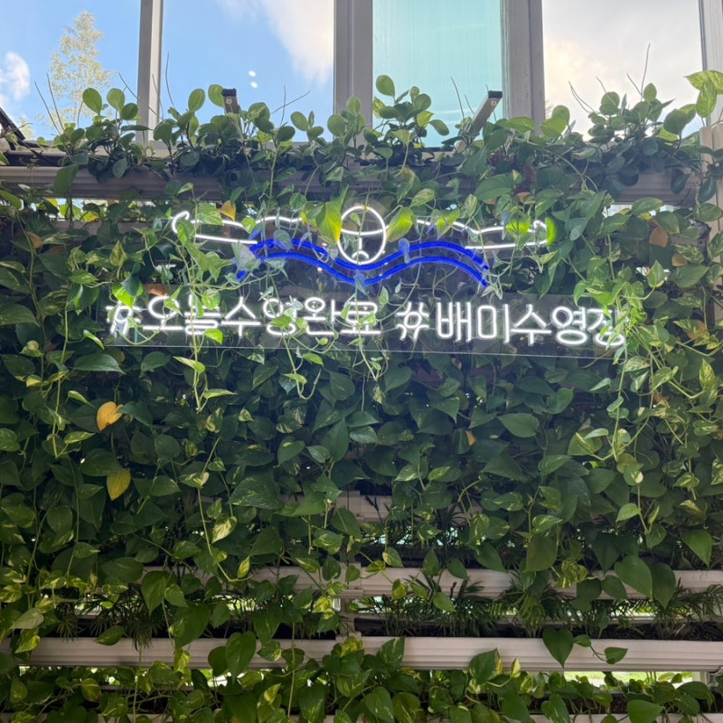 아산 배미수영장 평일 자유수영 후기(50m레인, 오리발 가능)