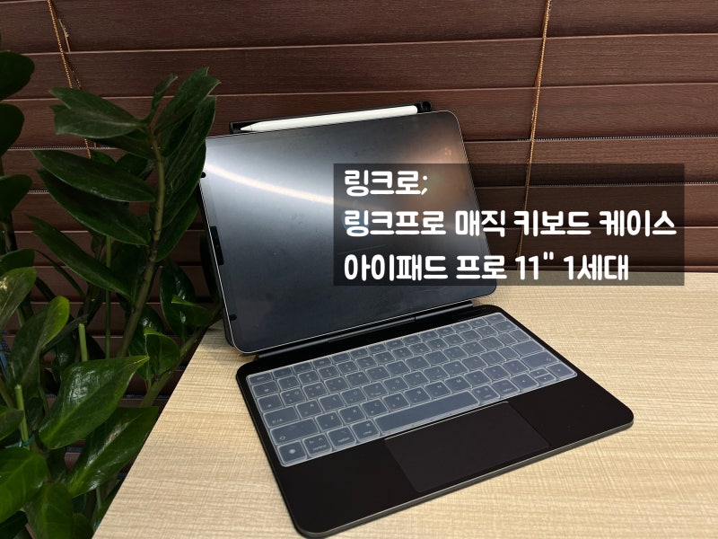 아이패드 11인치 1세대 키보드 케이스 리뷰 : 링크로 매직 키보드 케이스 내돈내산