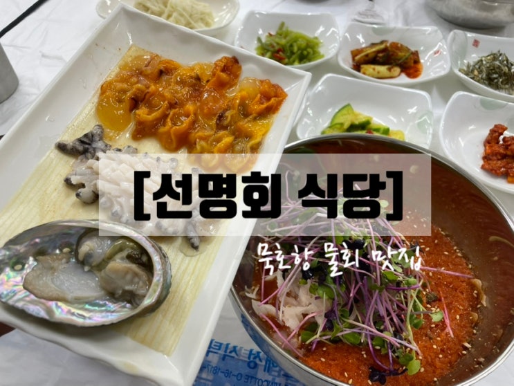  동해 묵호항횟집 추천 '선명회식당', 물회 오징어순대 곰치국 맛집!