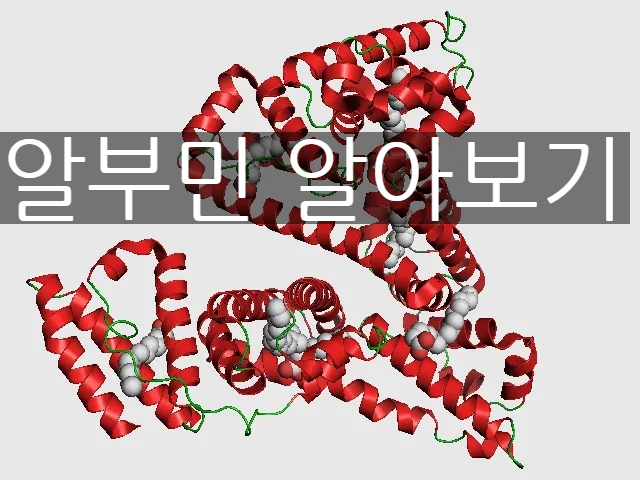  알부민 효능과 부작용에 대해 알아보자(+알부민 수치, 음식)