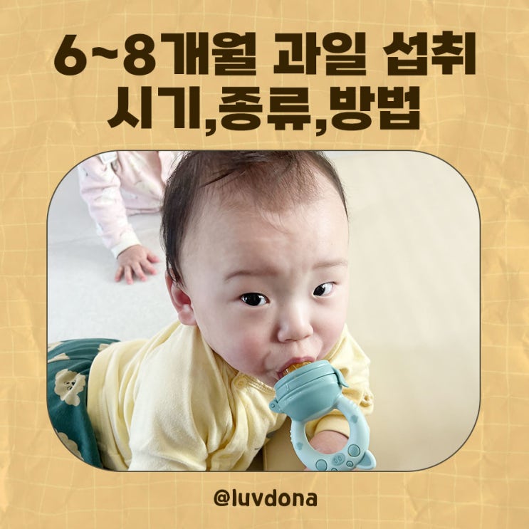  6개월 7개월 8개월 아기 과일 언제부터? 시기·종류·방법 총정리