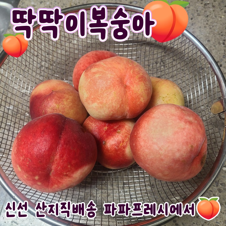  딱딱이복숭아 과일배달 맛집 아삭이 후기