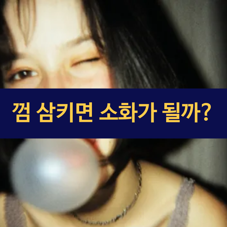  껌을 삼켰을 때 소화가 될까? 껌 삼키면 어떻게 되는지?