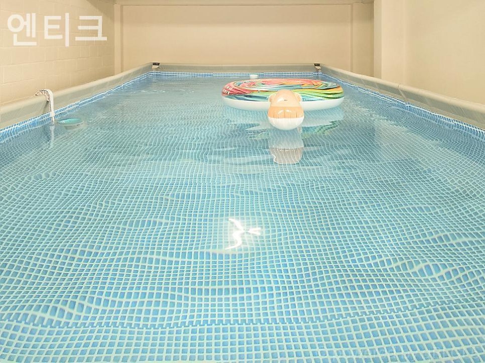 엔티크 사진 2