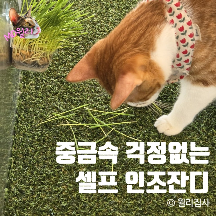  인테리어 인조잔디 셀프시공 배수 구멍 있는 조경 웰론코리아