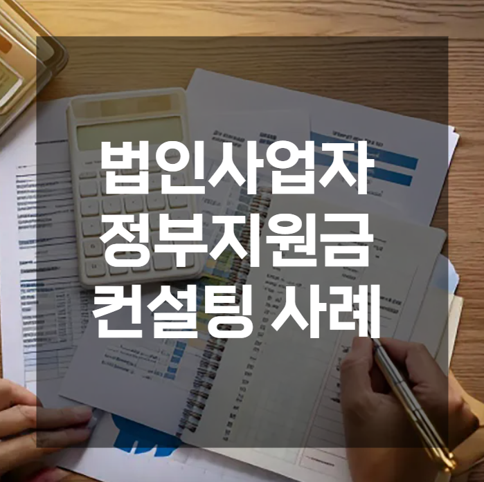  법인사업자정부지원금 컨설팅 데이터로 검증한 심사 승인률 제고 사례