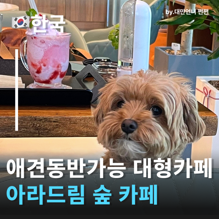  인천대형카페 아라드림숲카페 계양역에서 만난 인천애견동반카페