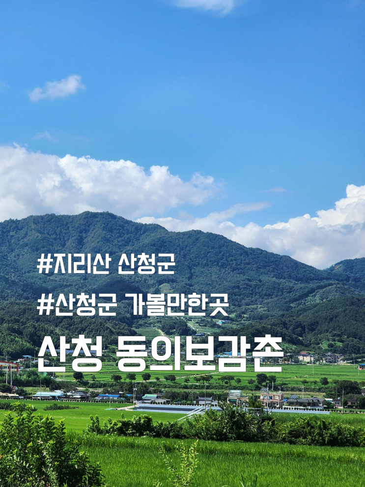  산청군 가볼만한곳 동의보감촌 | 입장료 주차 동선 총정리