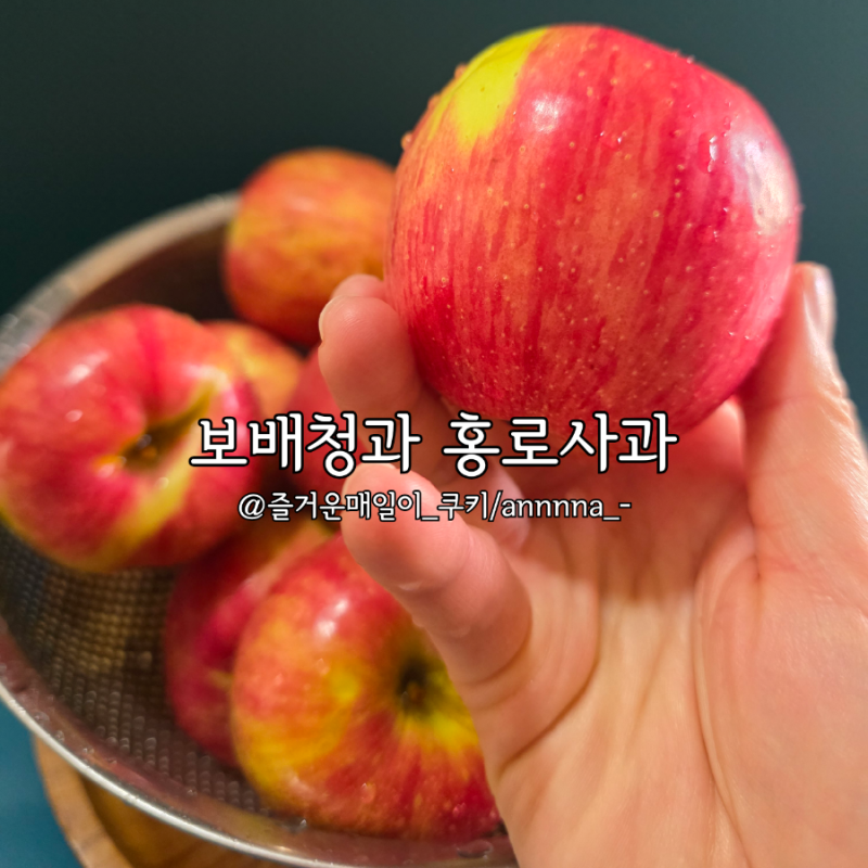 가정용사과 제철 홍로사과 아삭하고 달콤한 맛 보배청과
