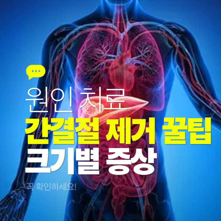  간 결절 뜻, 없애는 제거 법 원인 치료 크기별 증상 알아봐요