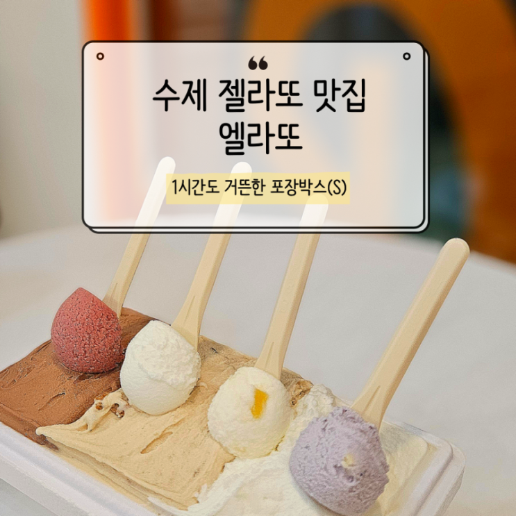  진짜 젤라또 맛은 다르다? 구미 금리단길 카페 엘라또 솔직후기