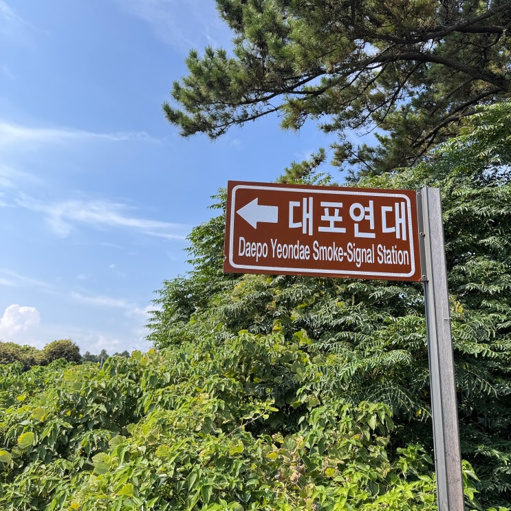  서귀포 중문 스노클링 명소, 숨은 바닷가 도리빨 체험기