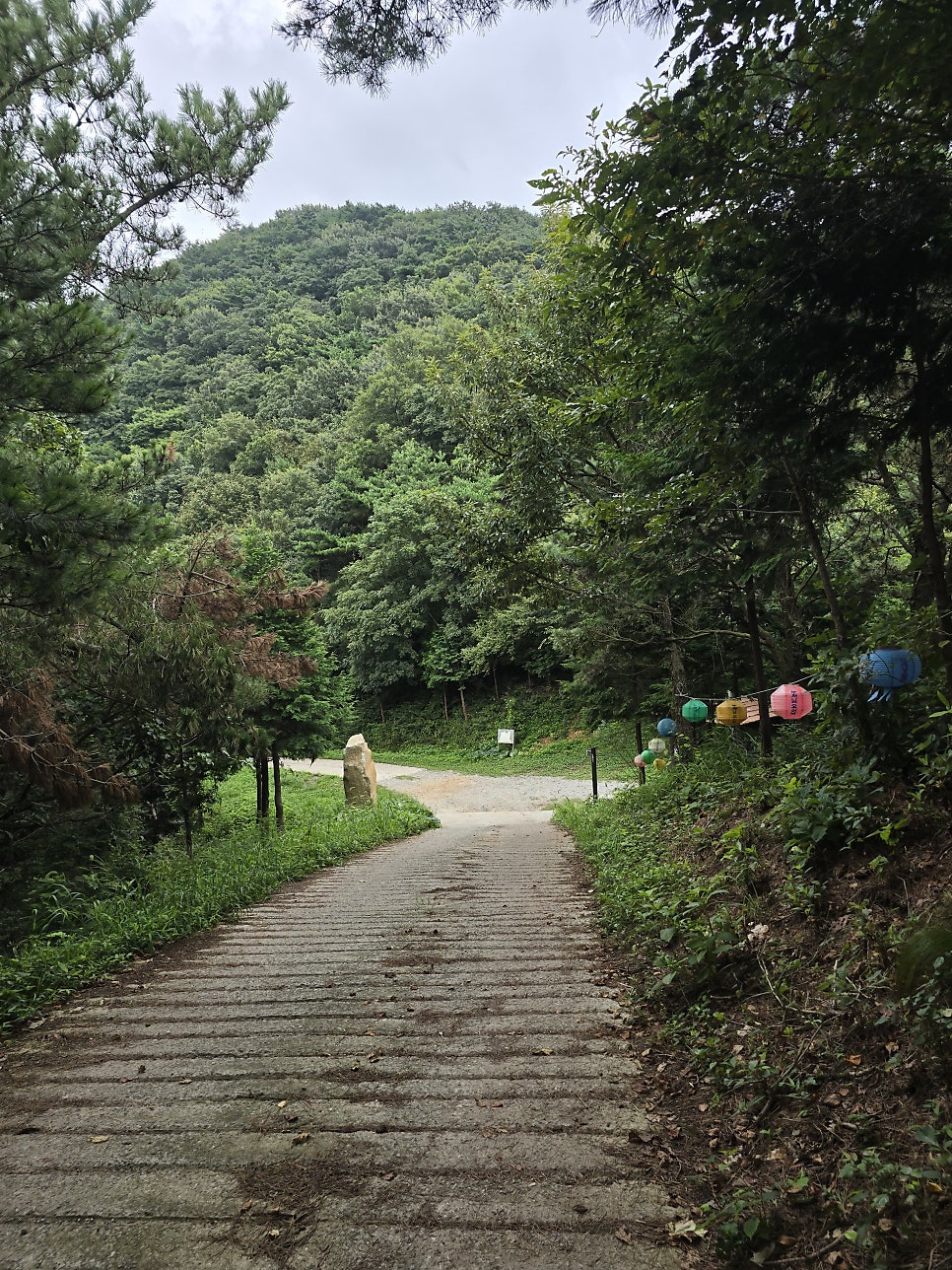 삼준산 사진 5