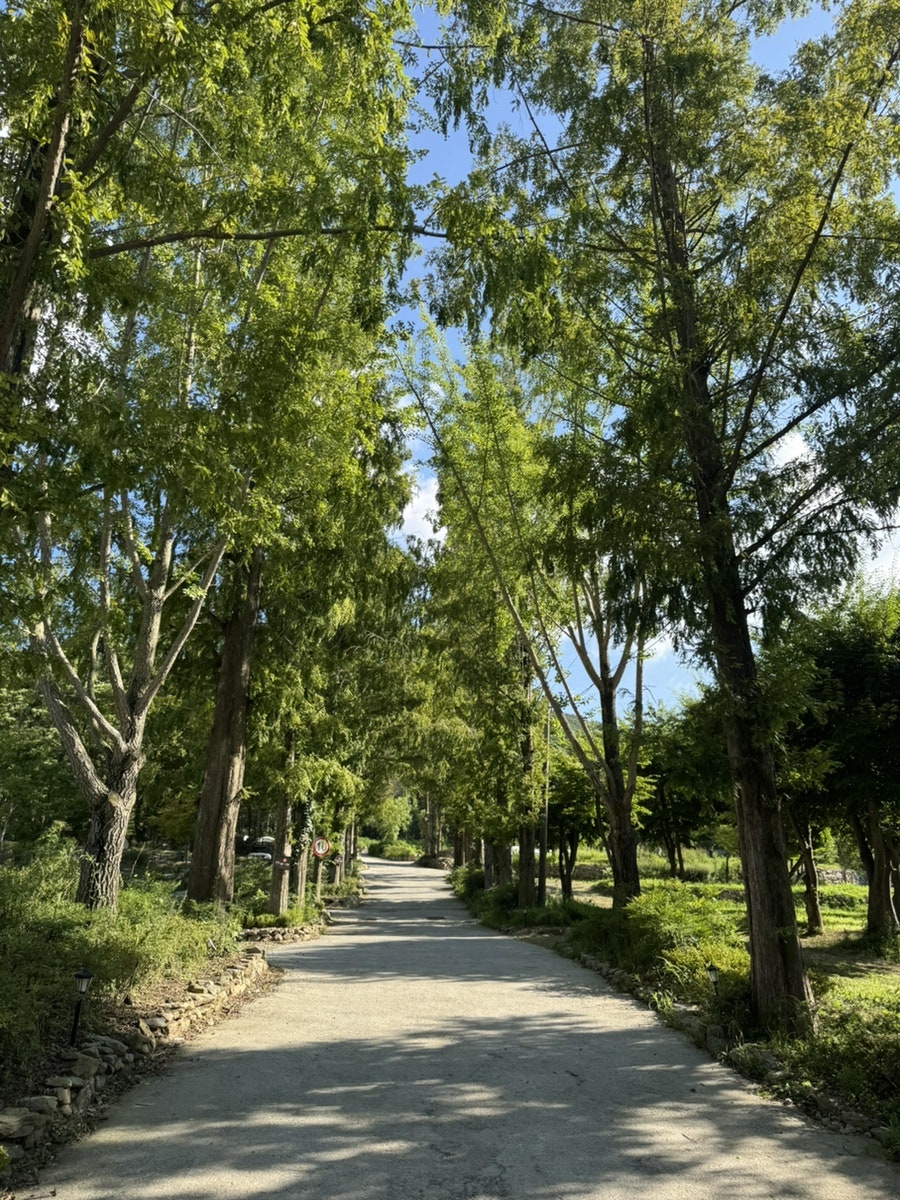 SL캠핑빌리지 사진 2