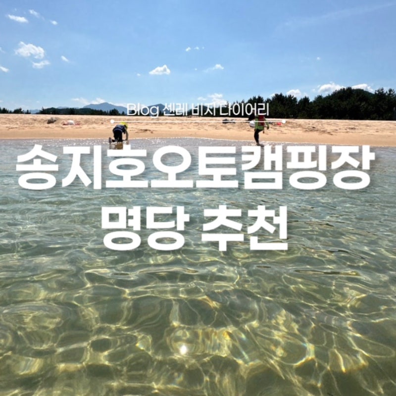 지금 아니면 내년에! 강원도 고성 송지호 오토캠핑장, 명당자리 예약 꿀팁과 리얼 후기
