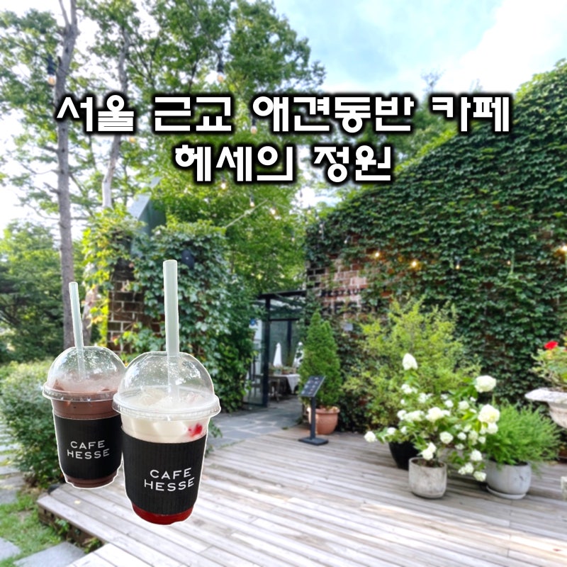 사진 4