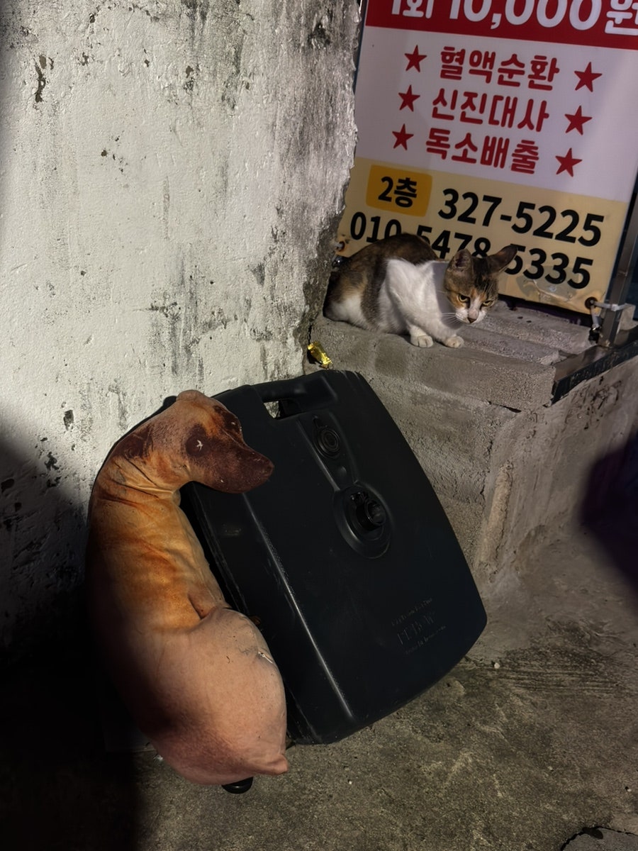 450 하이볼 학장점 사진 3