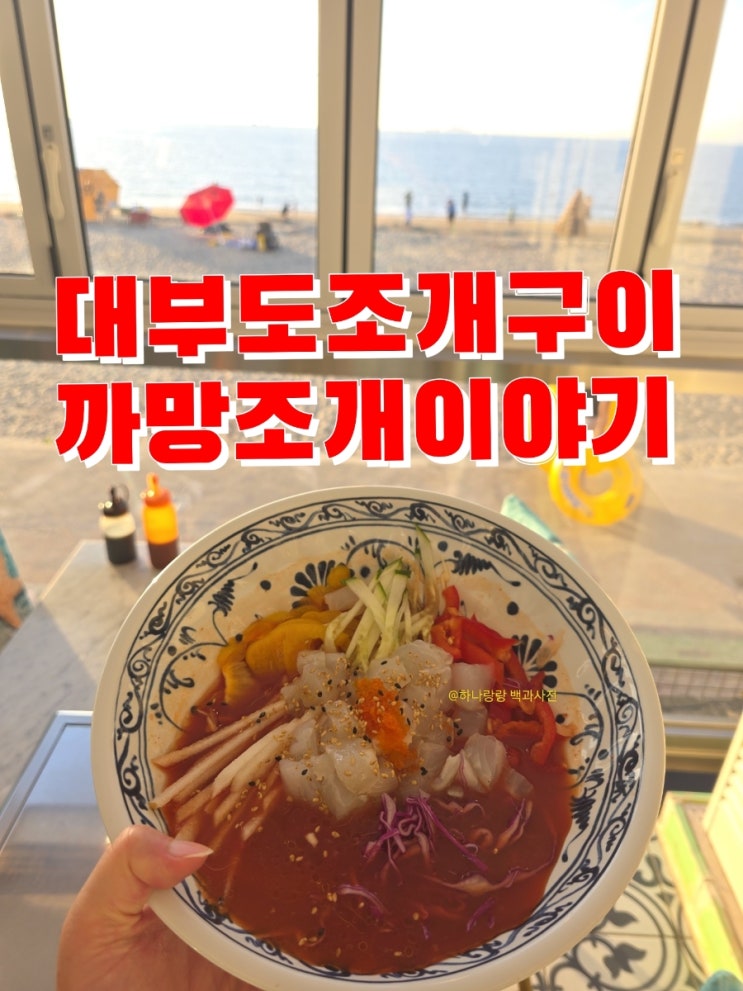  [경기 안산] 바다를 품은 대부도조개구이 까망조개이야기