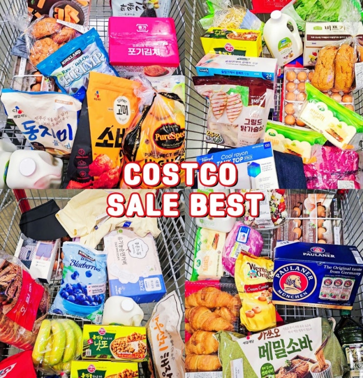  코스트코 추천템 꼭 사야할 할인상품 세일음식 BEST