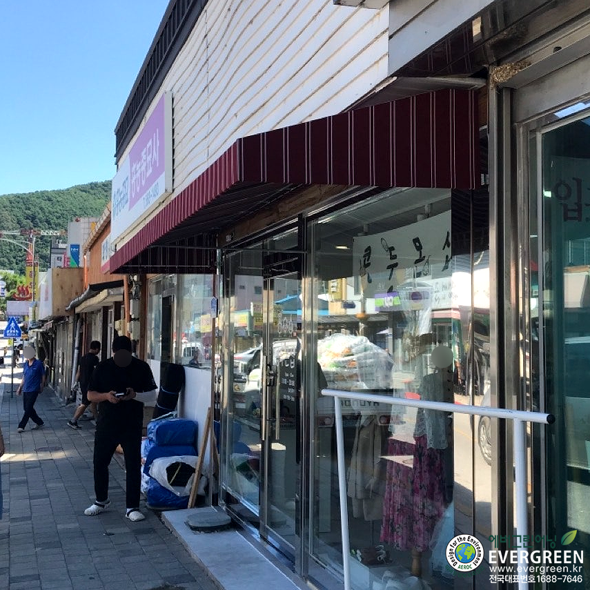에버그린 사진 2