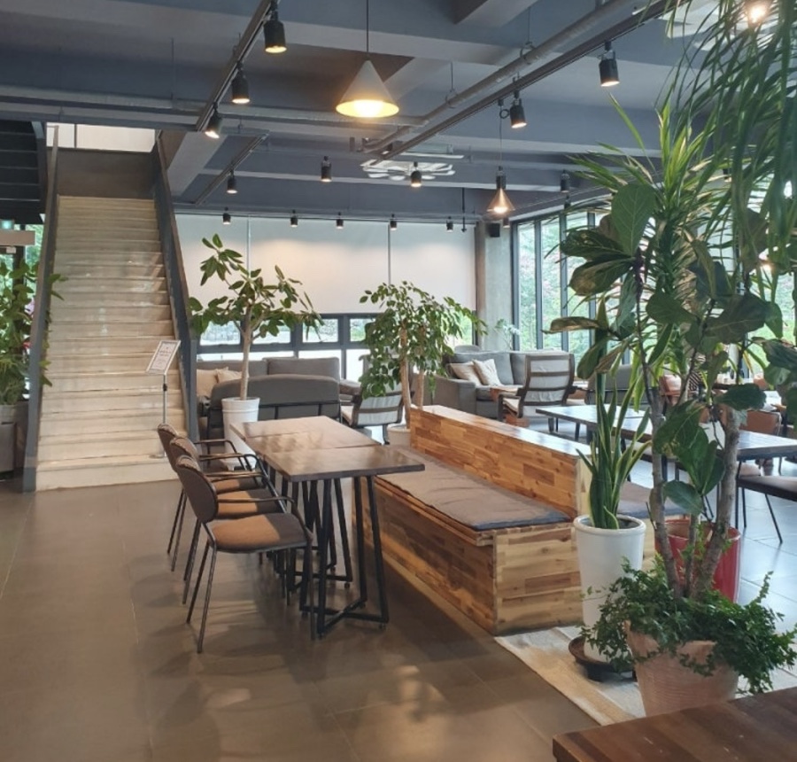 미라벨 사진 5
