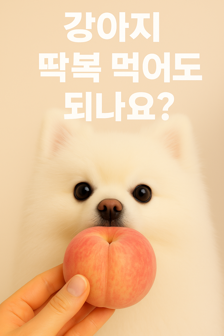  강아지 딱복 먹어도 되나요