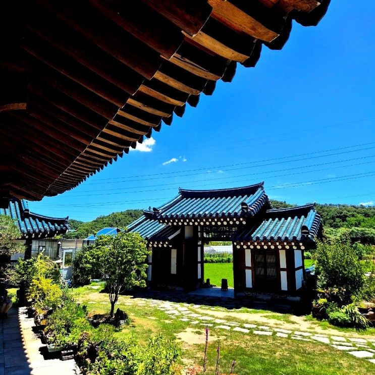  울산 울주 조용한 마을 한옥 카페 추천 청량248