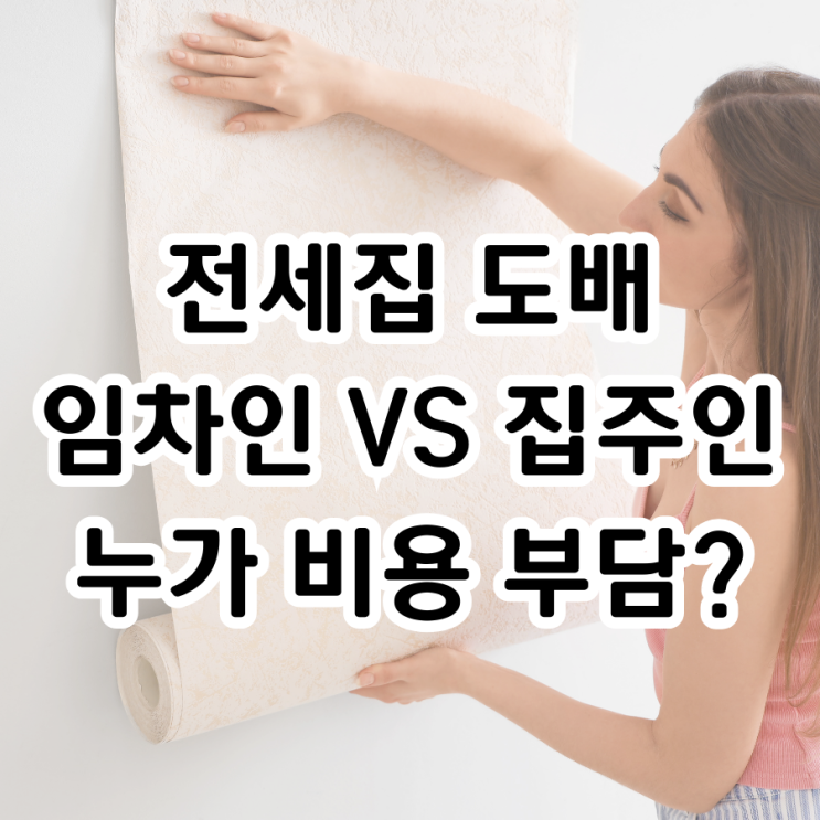  전세집 도배, 임차인과 집주인 중 누가 부담? 비용 분담 총정리