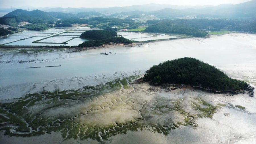 덤섬 사진 5