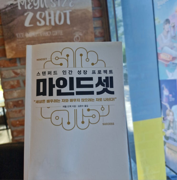  마인드셋 원하는 것을 이루는 태도의 힘 서평