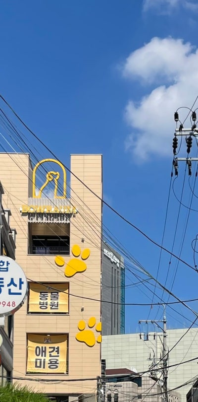 사진 10