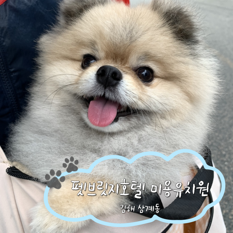 사진 2