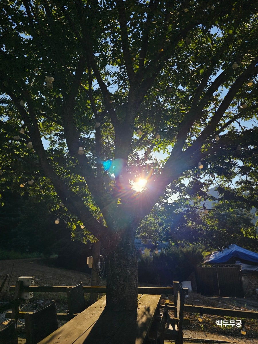 해달별장 사진 3