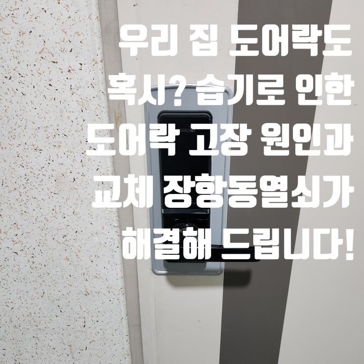  일산 장항동열쇠 도어락 먹통? 범인은 '결로'! 우인아크리움빌 교체 사례