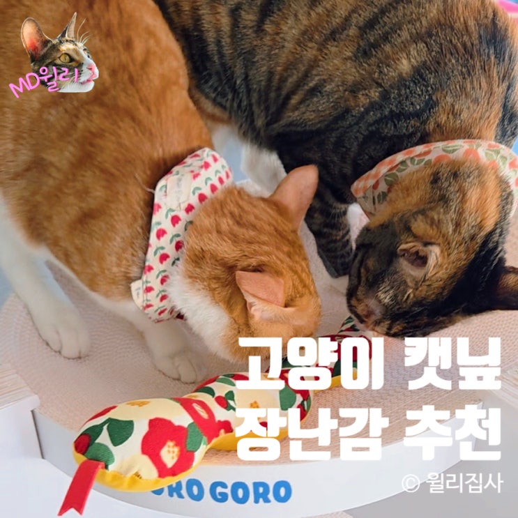  고양이 캣닢 장난감 핸드메이드 롱 쿠션 외동 다묘가정 필수템