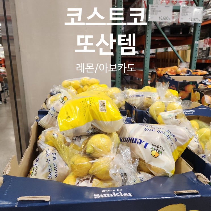  코스트코 레몬물 만들기 아보카도후숙 꿀팁