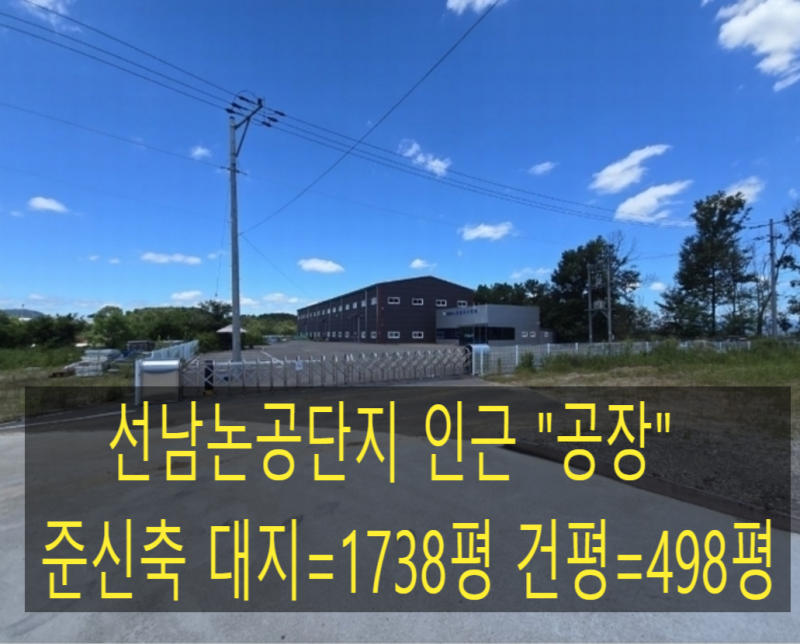 사진 2