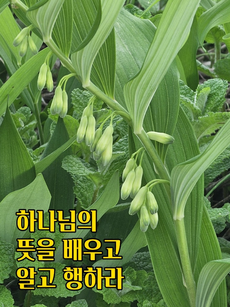  jms 정명석목사 잠언 ㅡ 알고 행하라