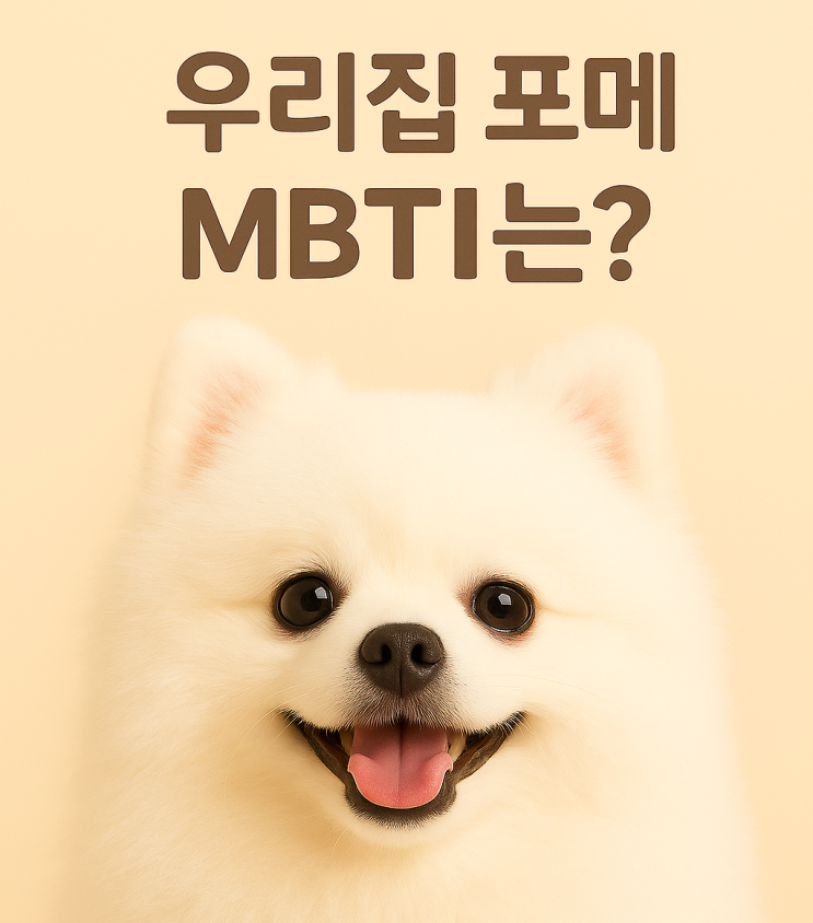  우리 집 악동 털뭉치 포메, MBTI 분석