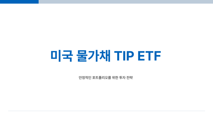  미국 물가채 TIP ETF - 인플레이션 방어 ETF