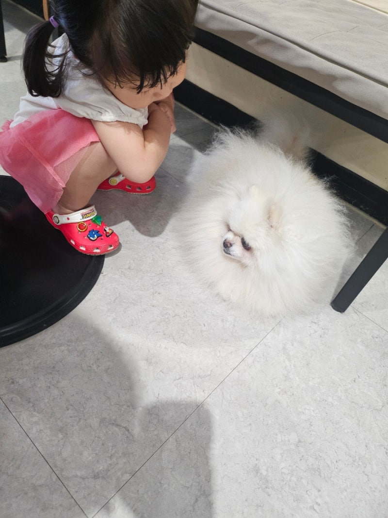 사진 3