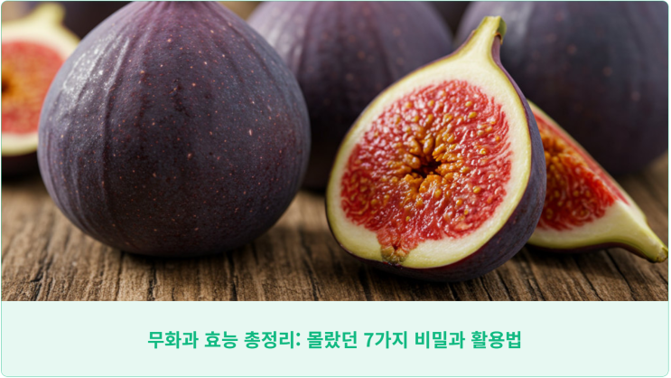  무화과 효능 총정리: 몰랐던 7가지 비밀과 활용법