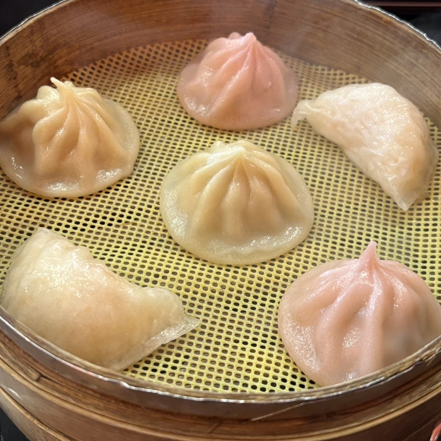 신샤브 사진 6
