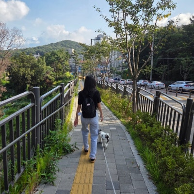 사진 4