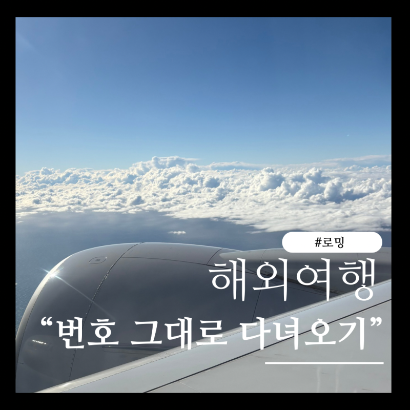 해외여행 몰래 가기..전화 안내 문구x 유심 착신전환