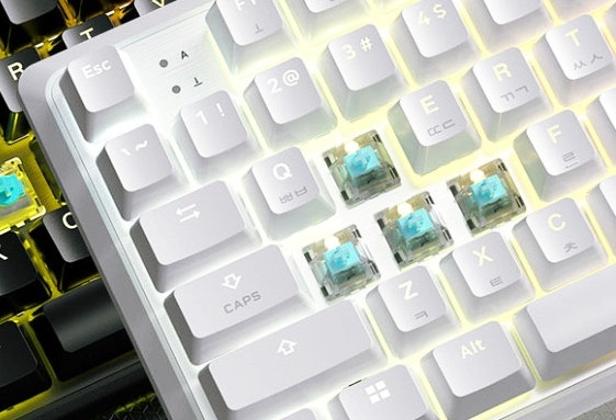 래피드 트리거 커세어 K70 PRO TKL MGX vs MAX RGB 차이 선택 추천