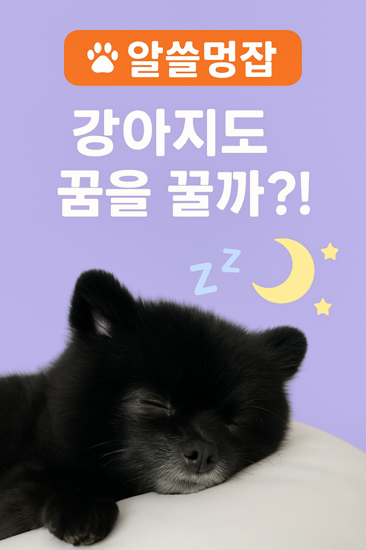  [알쓸멍잡] 강아지도 꿈을 꿀까?